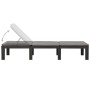 Tumbona con cojín plástico gris antracita de vidaXL, Tumbonas - Ref: Foro24-315829, Precio: 186,62 €, Descuento: %