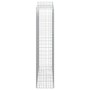 Cestas de gaviones 11 uds forma de arco hierro 200x50x220/240cm de , Maceteros y jardineras - Ref: Foro24-3145775, Precio: 1,...