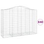 Cestas gaviones 40 uds forma de arco hierro 200x50x140/160 cm de , Maceteros y jardineras - Ref: Foro24-3145700, Precio: 3,00...