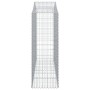 Cestas gaviones 40 uds forma de arco hierro 200x50x140/160 cm de , Maceteros y jardineras - Ref: Foro24-3145700, Precio: 3,00...