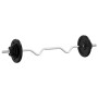 Juego de barra con discos 30 kg hierro fundido y acero cromado de , Peso libre - Ref: Foro24-93629, Precio: 122,55 €, Descuen...