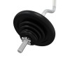 Juego de barra con discos 30 kg hierro fundido y acero cromado de , Peso libre - Ref: Foro24-93629, Precio: 122,55 €, Descuen...