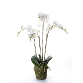 Emerald Orquídea artificial con musgo blanca 90 cm 20.355 de , Flora artificial - Ref: Foro24-414484, Precio: 134,41 €, Descu...