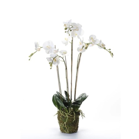 Emerald Orquídea artificial con musgo blanca 90 cm 20.355 de , Flora artificial - Ref: Foro24-414484, Precio: 134,41 €, Descu...