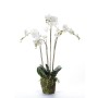 Emerald Orquídea artificial con musgo blanca 90 cm 20.355 de , Flora artificial - Ref: Foro24-414484, Precio: 134,41 €, Descu...