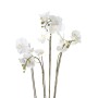 Emerald Orquídea artificial con musgo blanca 90 cm 20.355 de , Flora artificial - Ref: Foro24-414484, Precio: 134,41 €, Descu...
