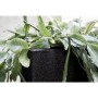 Capi Jardinera cuadrada Urban Smooth negra 40x40x40 cm KBL903 de , Maceteros y jardineras - Ref: Foro24-424342, Precio: 101,5...
