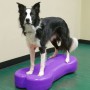 FitPAWS Plataforma de equilibrio mascotas Giant K9FITbone PVC morado de , Equipos para el ejercicio de mascotas - Ref: Foro24...