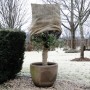 Nature Funda cubre plantas anti-heladas jute natural 230 g/m² 0,75x1 m de , Accesorios de jardinería - Ref: Foro24-434645, Pr...