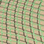 ProPlus Red elástica de seguridad para remoque 2,50 x 4,50 m de , Redes de carga para vehículos motorizados - Ref: Foro24-400...