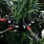 Árbol de Navidad con luces y piñas PVC PE verde y blanco 225 cm de , Arboles de navidad - Ref: Foro24-3094566, Precio: 256,22...
