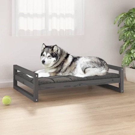 Cama para perros madera maciza de pino gris 105,5x75,5x28 cm de , Camas para perros - Ref: Foro24-821489, Precio: 91,02 €, De...