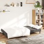 Sofá cama de 2 plazas terciopelo gris oscuro de , Sofás - Ref: Foro24-375733, Precio: 239,63 €, Descuento: %