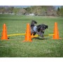FitPAWS Juego de obstáculos de , Equipos para el ejercicio de mascotas - Ref: Foro24-433823, Precio: 191,46 €, Descuento: %