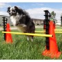 FitPAWS Juego de obstáculos de , Equipos para el ejercicio de mascotas - Ref: Foro24-433823, Precio: 191,46 €, Descuento: %