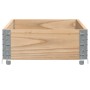 Jardinera de madera maciza de pino 100x50 cm de , Maceteros y jardineras - Ref: Foro24-3295387, Precio: 43,41 €, Descuento: %