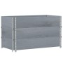 Jardinera de madera maciza de pino gris 100x50 cm de , Maceteros y jardineras - Ref: Foro24-3295429, Precio: 108,78 €, Descue...