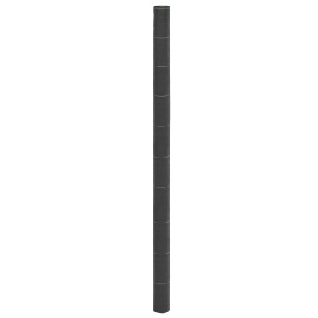 Membrana para malezas PP negra 2x10 m de , Mallas antihierbas - Ref: Foro24-4005228, Precio: 26,50 €, Descuento: %