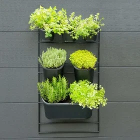 Nature Kit de pared para jardín vertical de Nature, Maceteros y jardineras - Ref: Foro24-434650, Precio: 72,58 €, Descuento: %
