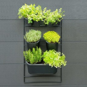 Nature Kit de pared para jardín vertical de Nature, Maceteros y jardineras - Ref: Foro24-434650, Precio: 76,53 €, Descuento: %