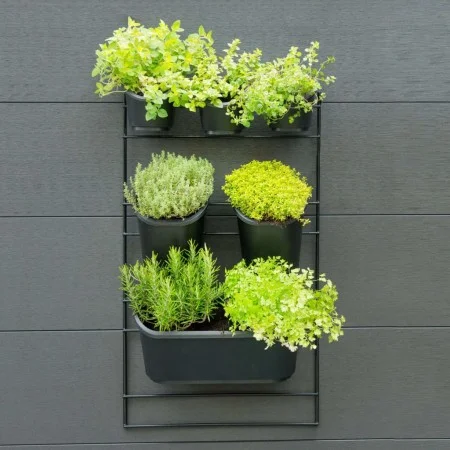 Nature Kit de pared para jardín vertical de Nature, Maceteros y jardineras - Ref: Foro24-434650, Precio: 72,58 €, Descuento: %