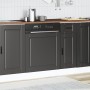 Panel para lavavajillas Porto madera contrachapada negro de , Armarios de cocina - Ref: Foro24-854138, Precio: 43,56 €, Descu...