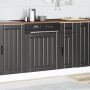 Panel para lavavajillas Lucca madera contrachapada negra de , Armarios de cocina - Ref: Foro24-853898, Precio: 37,21 €, Descu...