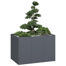 Jardinera acero gris antracita 120x80x80 cm de , Maceteros y jardineras - Ref: Foro24-860789, Precio: 163,77 €, Descuento: %
