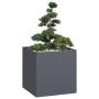 Jardinera acero gris antracita 80x80x80 cm de , Maceteros y jardineras - Ref: Foro24-860782, Precio: 152,62 €, Descuento: %