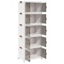 Caja de almacenaje apilable con ruedas 5niveles 75L 64x40x179cm de , Carretillas de carga - Ref: Foro24-4012374, Precio: 157,...