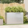 Jardinera 120x40x80 cm acero inoxidable de , Maceteros y jardineras - Ref: Foro24-860721, Precio: 179,65 €, Descuento: %