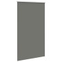 Estor Enrollable Opaco gris 135x230 cm Tela Ancho 131,6 cm de , Persianas y estores - Ref: Foro24-4011213, Precio: 35,01 €, D...
