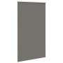 Estor Enrollable Opaco gris 125x230 cm Tela Ancho 121,6 cm de , Persianas y estores - Ref: Foro24-4011211, Precio: 36,54 €, D...