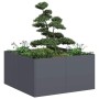 Jardinera de acero laminado en frío antracita 80x80x40 cm de , Maceteros y jardineras - Ref: Foro24-860740, Precio: 79,34 €, ...
