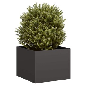 Jardinera acero negro 40x40x30 cm de , Maceteros y jardineras - Ref: Foro24-860794, Precio: 45,56 €, Descuento: %