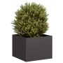 Jardinera acero negro 40x40x30 cm de , Maceteros y jardineras - Ref: Foro24-860794, Precio: 45,56 €, Descuento: %