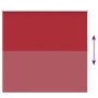 Estor Enrollable Opaco Rojo 155x130 cm Tela Ancho 151,6 cm de , Persianas y estores - Ref: Foro24-4011763, Precio: 28,97 €, D...