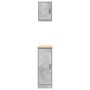 Armarios 2 uds para garaje madera de ingeniería ris hormigón de , Armarios industriales - Ref: Foro24-3328290, Precio: 74,02 ...