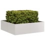 Jardinera 100x100x30 cm Acero inoxidable de , Maceteros y jardineras - Ref: Foro24-860812, Precio: 97,94 €, Descuento: %