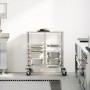 Carro con bandejas y 12 contenedores GN 75x55x87 cm de , Carros de cocina y comedor - Ref: Foro24-4108074, Precio: 185,23 €, ...