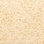 Alfombrillas de escalera 20 unidades crema 65x21x4 cm de , Alfombrillas para escalones - Ref: Foro24-3365855, Precio: 111,07 ...