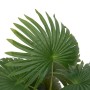 Planta de palma artificial 9 hojas 65 cm verde de , Flora artificial - Ref: Foro24-4103582, Precio: 24,61 €, Descuento: %