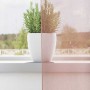 Cortinas de gasa con ojales 2 uds rosa 140x225 cm de , Cortinas y visillos - Ref: Foro24-4102097, Precio: 14,79 €, Descuento: %