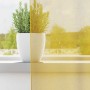 Cortinas de gasa con ojales 2 uds amarillo de , Cortinas y visillos - Ref: Foro24-4102133, Precio: 14,79 €, Descuento: %