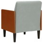 Sillón con reposabrazos Terciopelo Gris Claro 55 cm de , Sillones - Ref: Foro24-4100595, Precio: 145,97 €, Descuento: %