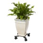 Nature Carrito para plantas ajustable 4 brazos netal negro de , Soportes para macetas - Ref: Foro24-442636, Precio: 35,43 €, ...