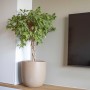 Capi Macetero Waste Smooth beige terrazo 35x34 cm de , Maceteros y jardineras - Ref: Foro24-445484, Precio: 64,67 €, Descuent...