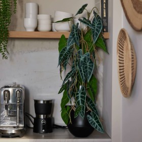Emerald Alocasia artificial en maceta 75 cm de , Flora artificial - Ref: Foro24-444648, Precio: 42,06 €, Descuento: %