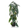 Emerald Alocasia artificial en maceta 75 cm de , Flora artificial - Ref: Foro24-444648, Precio: 42,06 €, Descuento: %