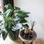 Capi Jarrón elegante Groove gris antracita 46x58 cm de , Maceteros y jardineras - Ref: Foro24-445501, Precio: 147,64 €, Descu...